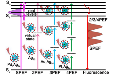 Order-by-order control over the nonlinear optical properties of atomically precise nanoclusters 2025.100735